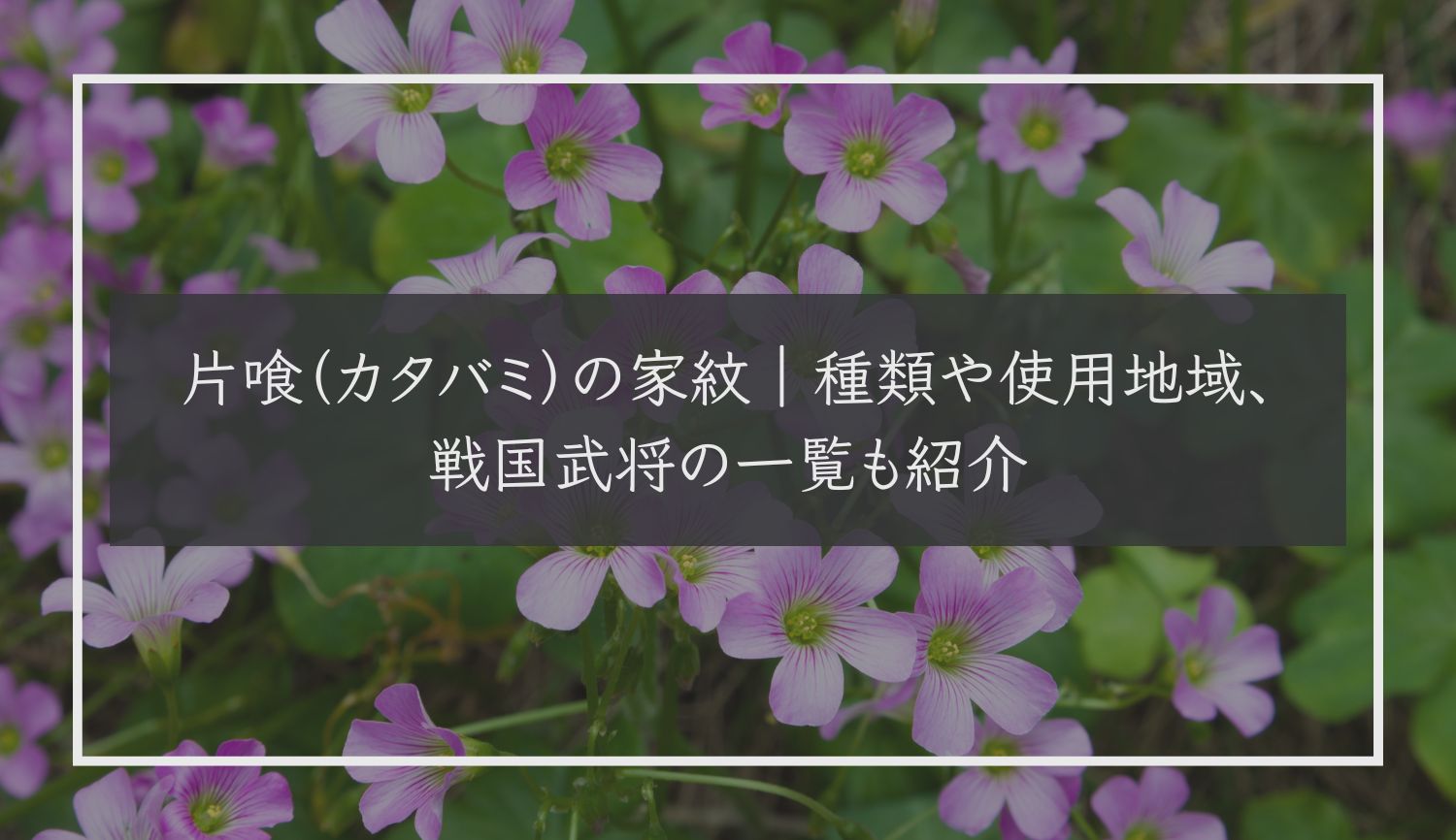 片喰（カタバミ）の家紋｜種類や使用地域、戦国武将の一覧も紹介