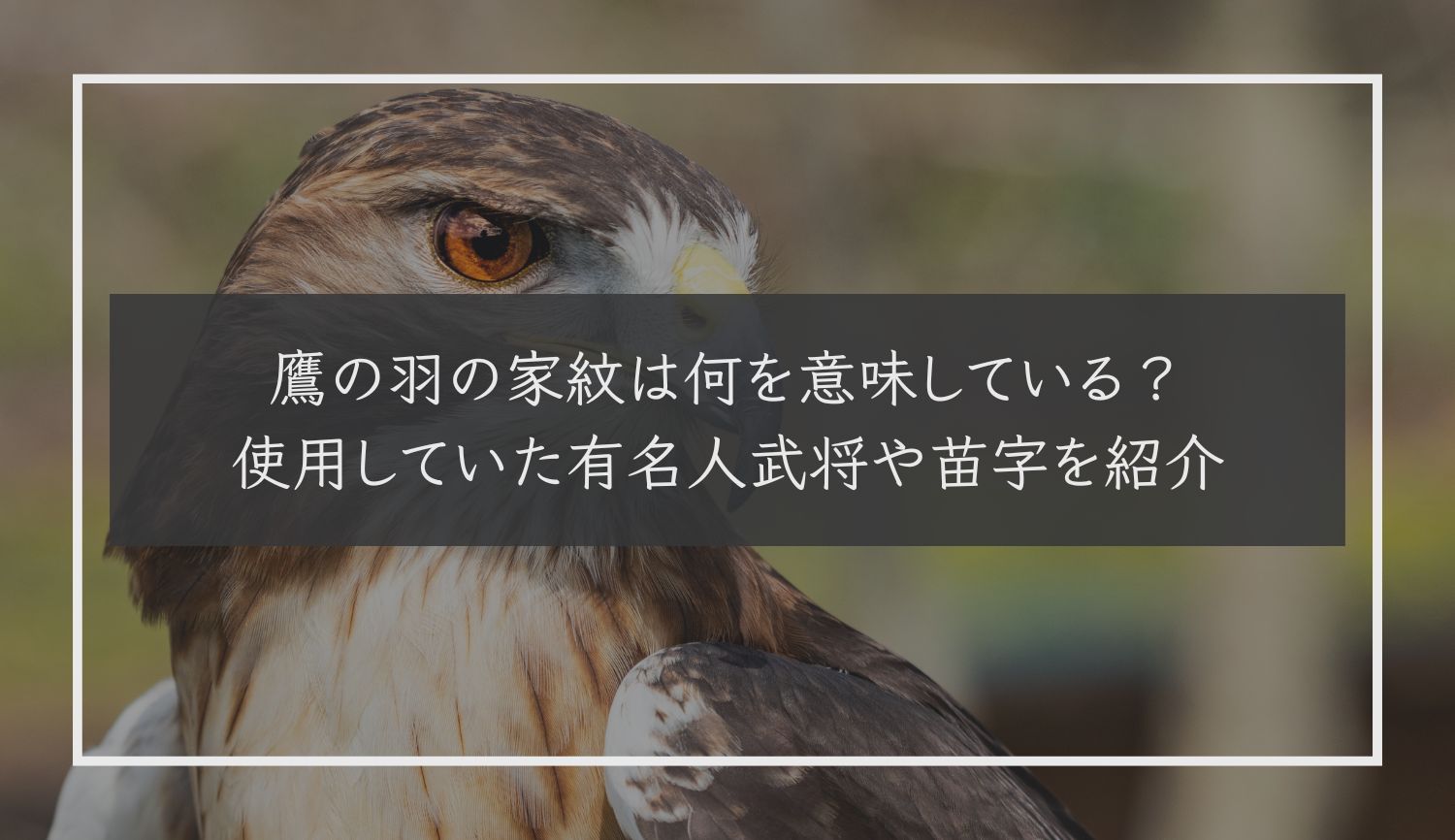 鷹の羽の家紋は何を意味している？使用していた有名人武将や苗字を紹介