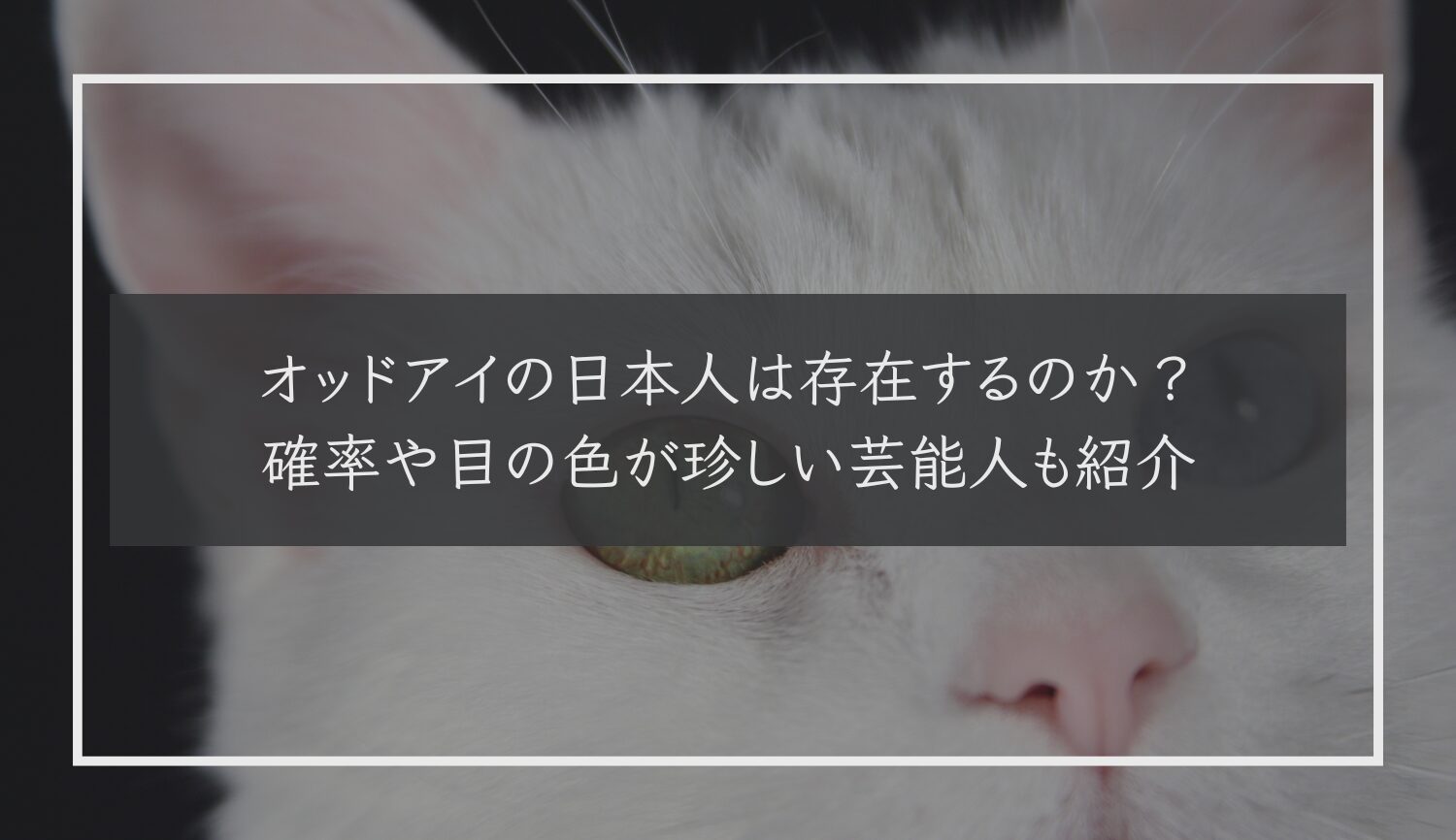 オッドアイの日本人は存在するのか？確率や目の色が珍しい芸能人も紹介