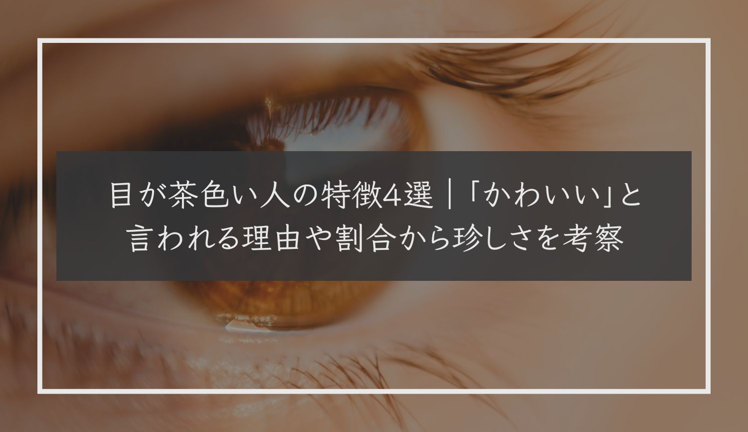 目が茶色い人の特徴４選｜かわいいと言われる理由や割合から珍しさを考察