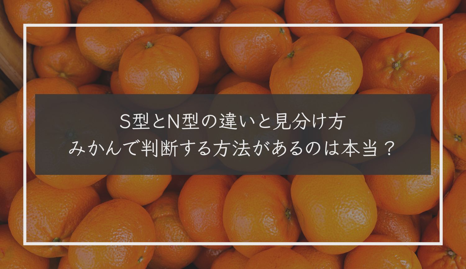 S型とN型の違いと見分け方｜みかんで判断する方法があるのは本当？【MBTI】